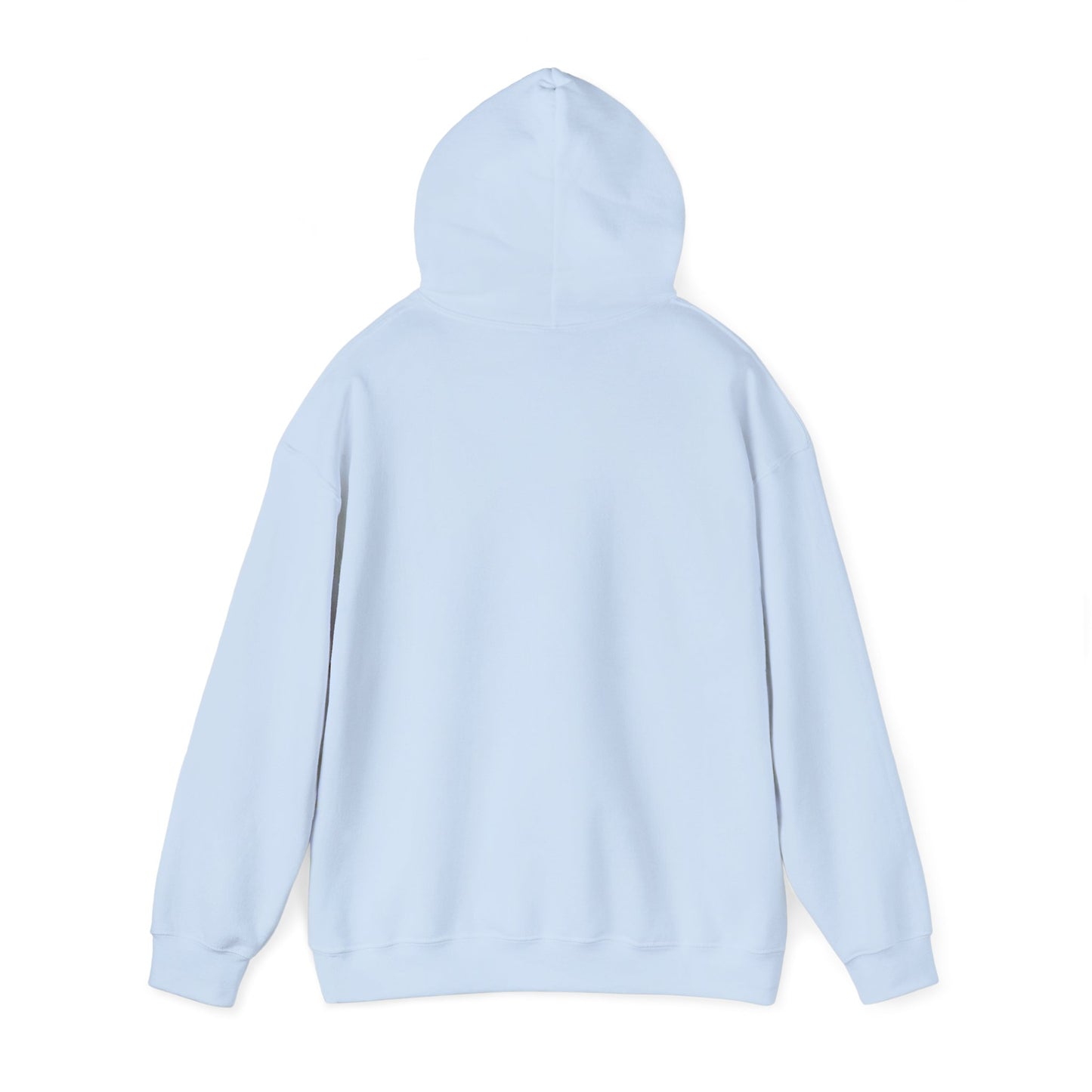 Cozy Statement Hoodie, Perfect Gift for Friends, Casual Wear, Unisex Sweatshirt for Everyday Comfort, Birthday and Christmas Gift