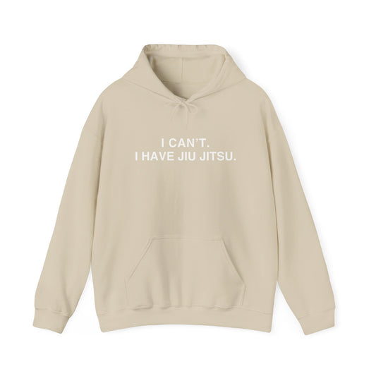 Cozy Statement Hoodie, Perfect Gift for Friends, Casual Wear, Unisex Sweatshirt for Everyday Comfort, Birthday and Christmas Gift