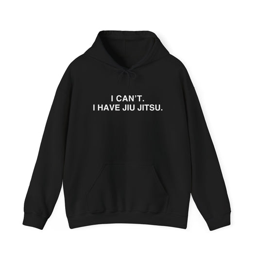 Cozy Statement Hoodie, Perfect Gift for Friends, Casual Wear, Unisex Sweatshirt for Everyday Comfort, Birthday and Christmas Gift